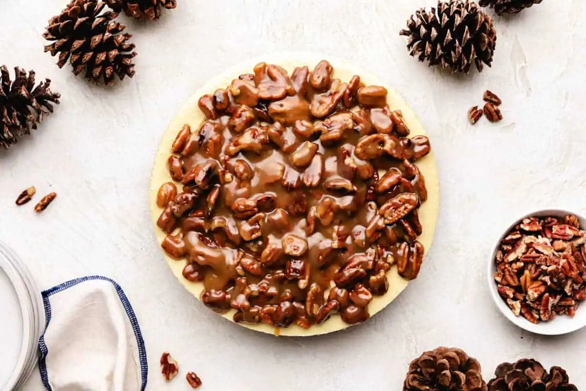 Top down view of pecan topping poured over a cheesecake.