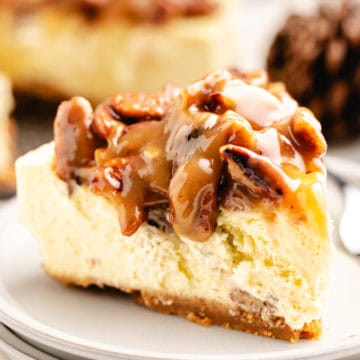 Close up view of a slice of caramel pecan pie cheesecake on white plates.