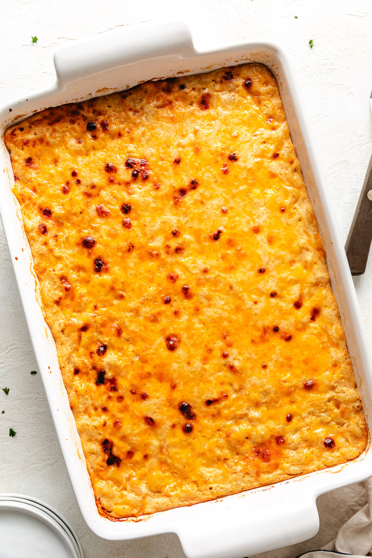 Overhead view of macaroni in a cheesy custard sauce.