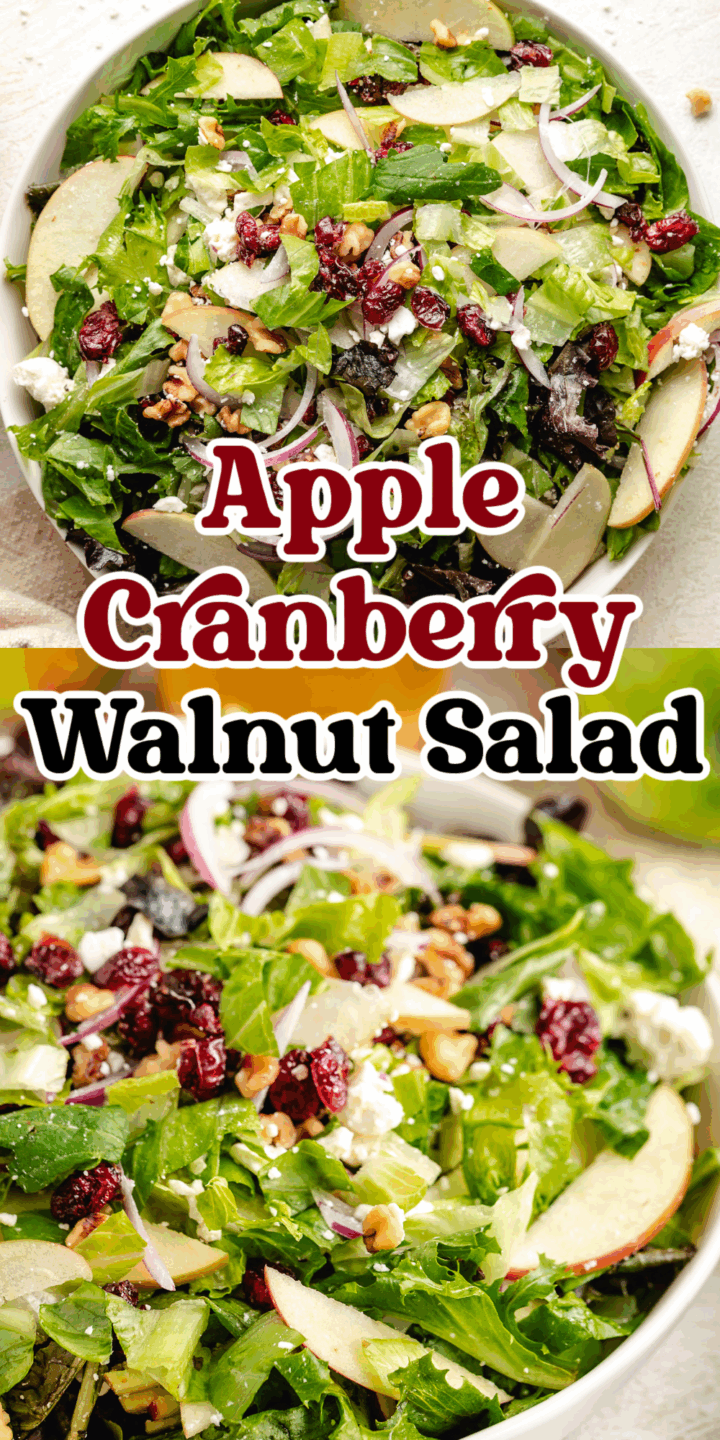 Collage showing two photos of apple cranberry walnut salad.