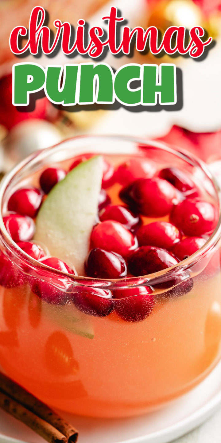 Festive christmas punch with cranberries and apple.